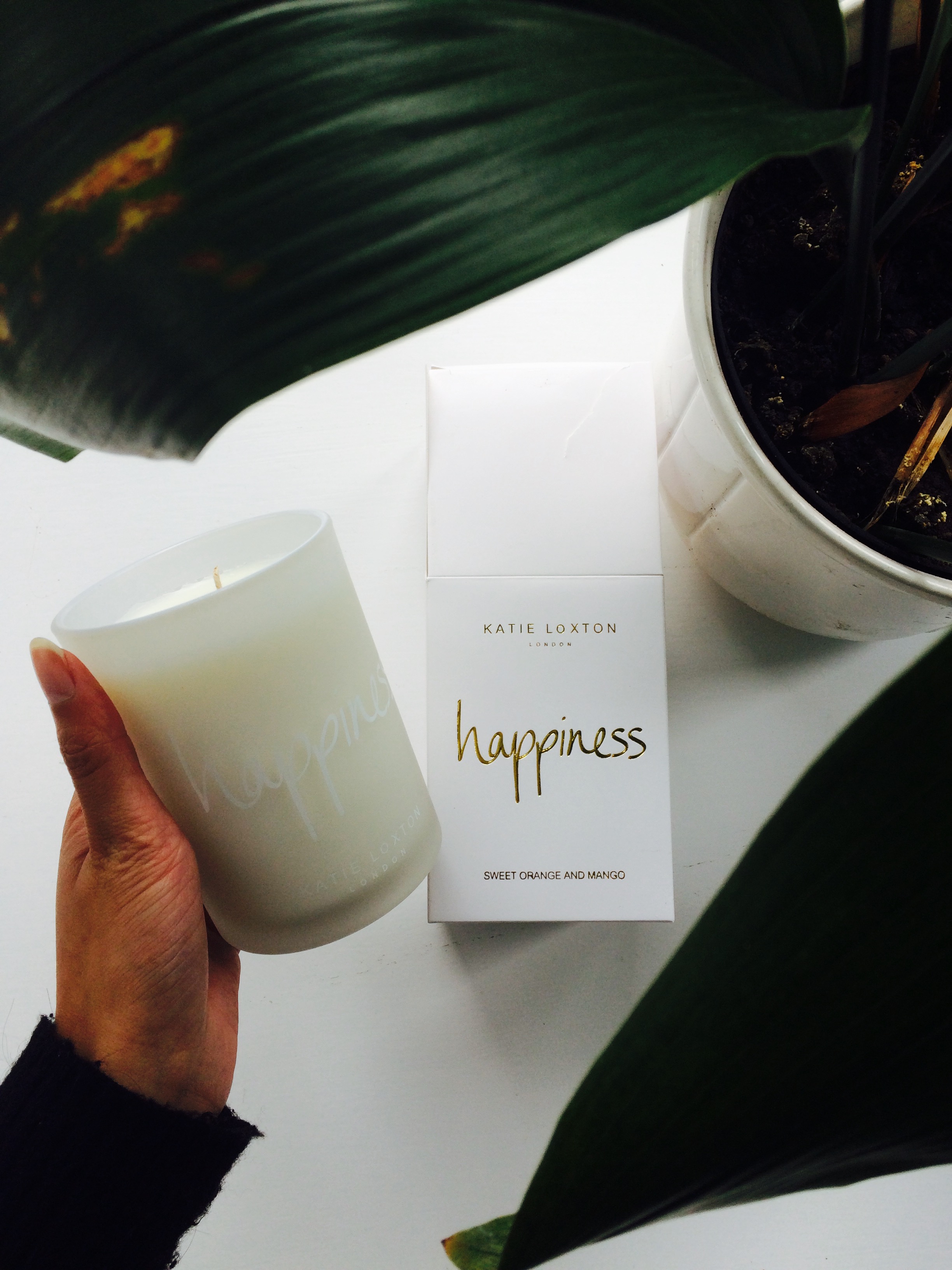 FullSizeRender (8).jpg